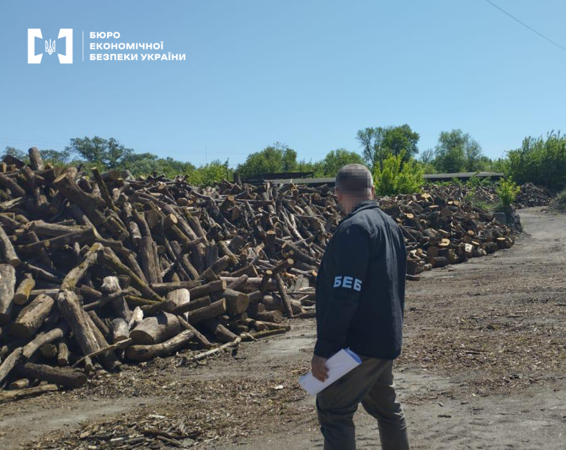 Детектив БЕБ оглядає купу неколотих дров на відкритій місцевості. За ними зелені дерева та кущі, блакитне безхмарне небо