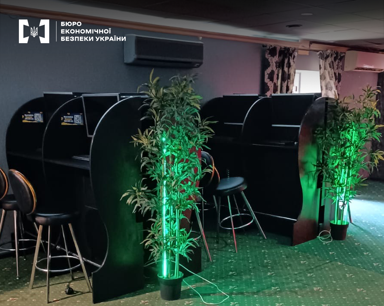 Гральний заклад. Індивідуальні місця для ігор, комп’ютери, високі стільці. Освітлення приглушене, рослини підсвічені зеленим світлом.