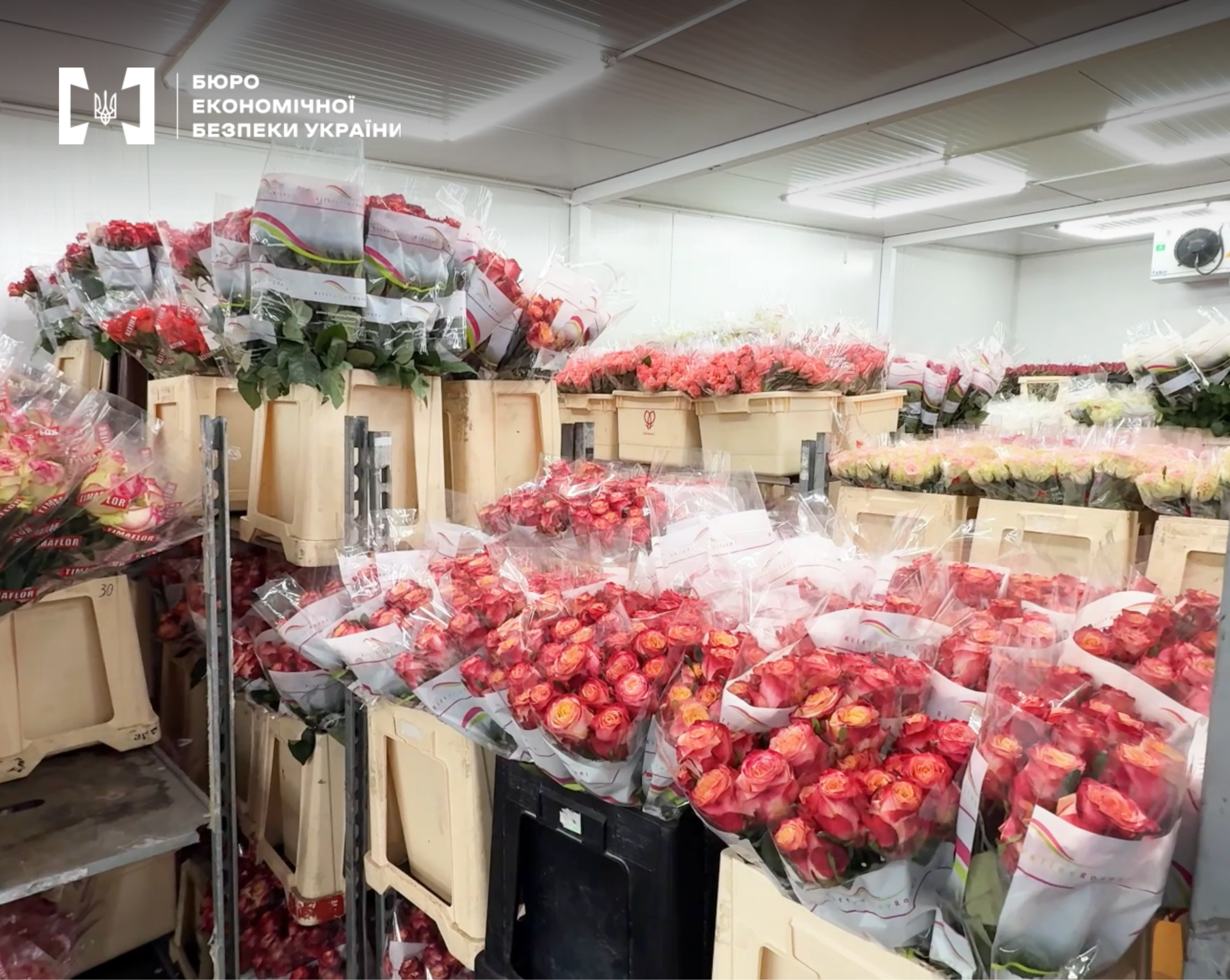 An industrial cold storage room of a warehouse, packed to the brim with boxes and shelving units holding bouquets of multicolored fresh roses.