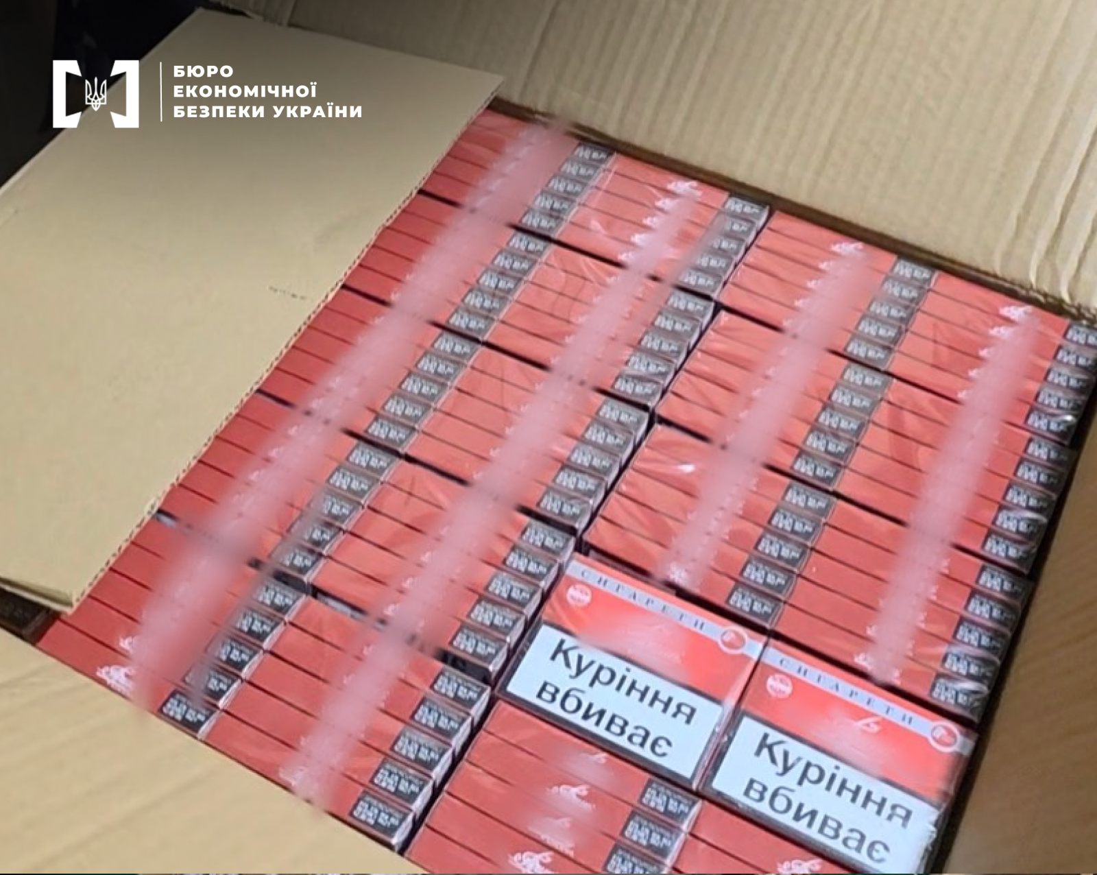 An open cardboard box filled to the brim with rows of red cigarette packs.