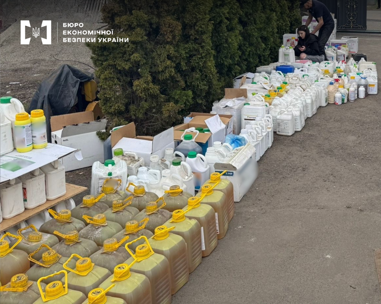Large rows of plastic canisters and bottles with illegal chemicals and liquids in a yard.