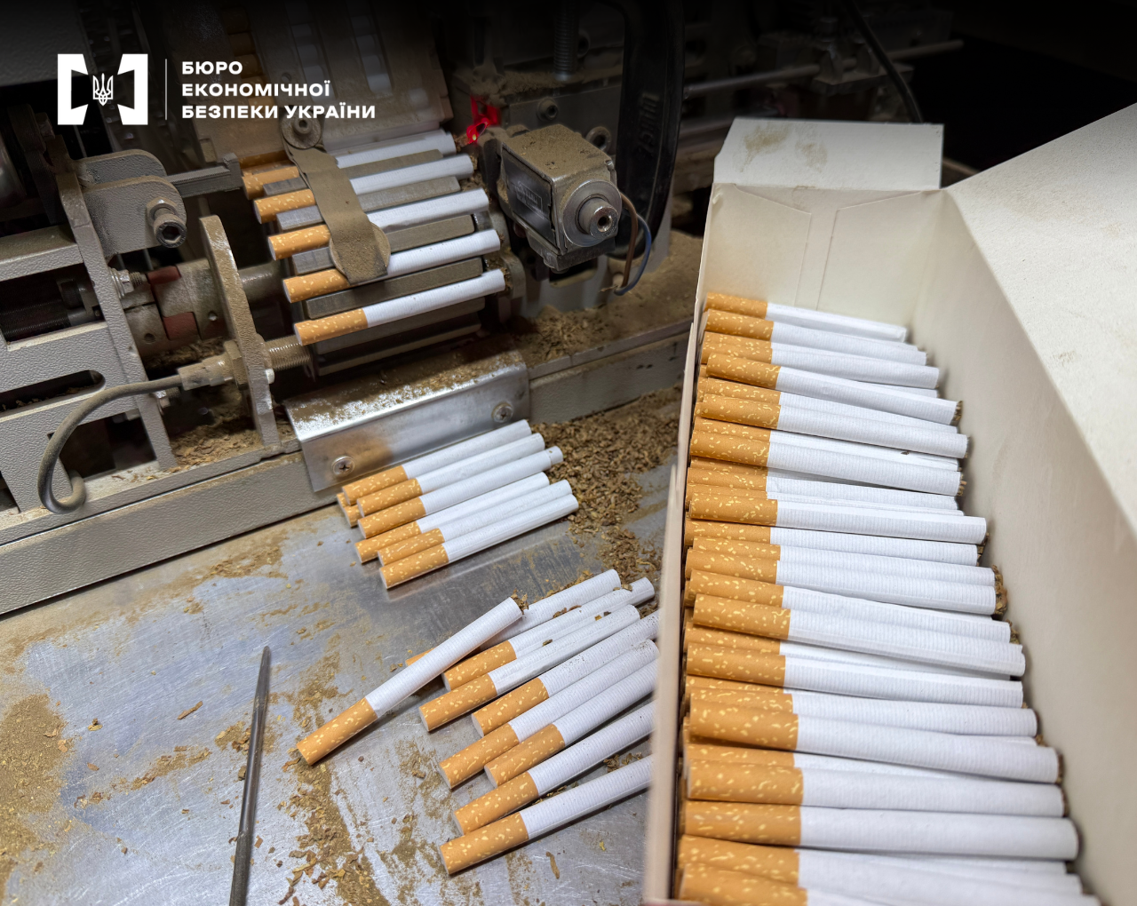 The process of manufacturing cigarettes on industrial equipment, where finished products with orange filters are stacked into a cardboard box