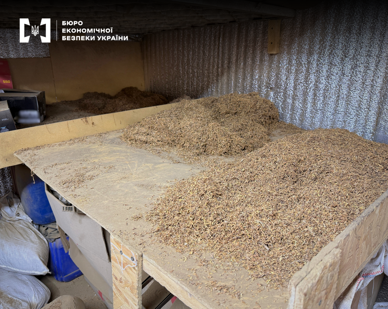Piles of shredded tobacco scattered on wooden tables and shelving units inside a closed warehouse-type room.
