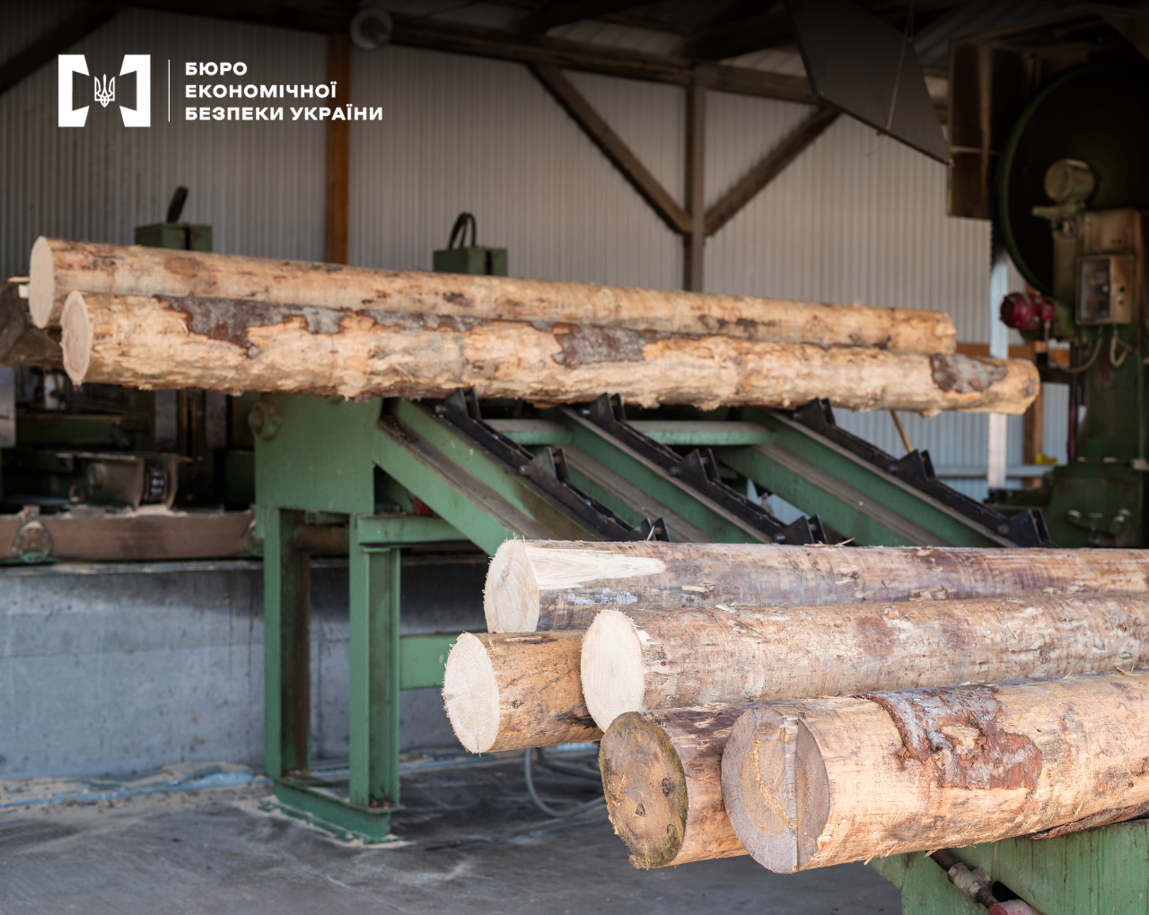 The photo shows logs on the grounds of a woodworking enterprise during investigative actions