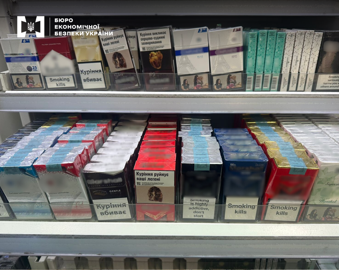 A display case filled with packs of cigarettes of various brands without excise tax stamps or with counterfeit stamps
