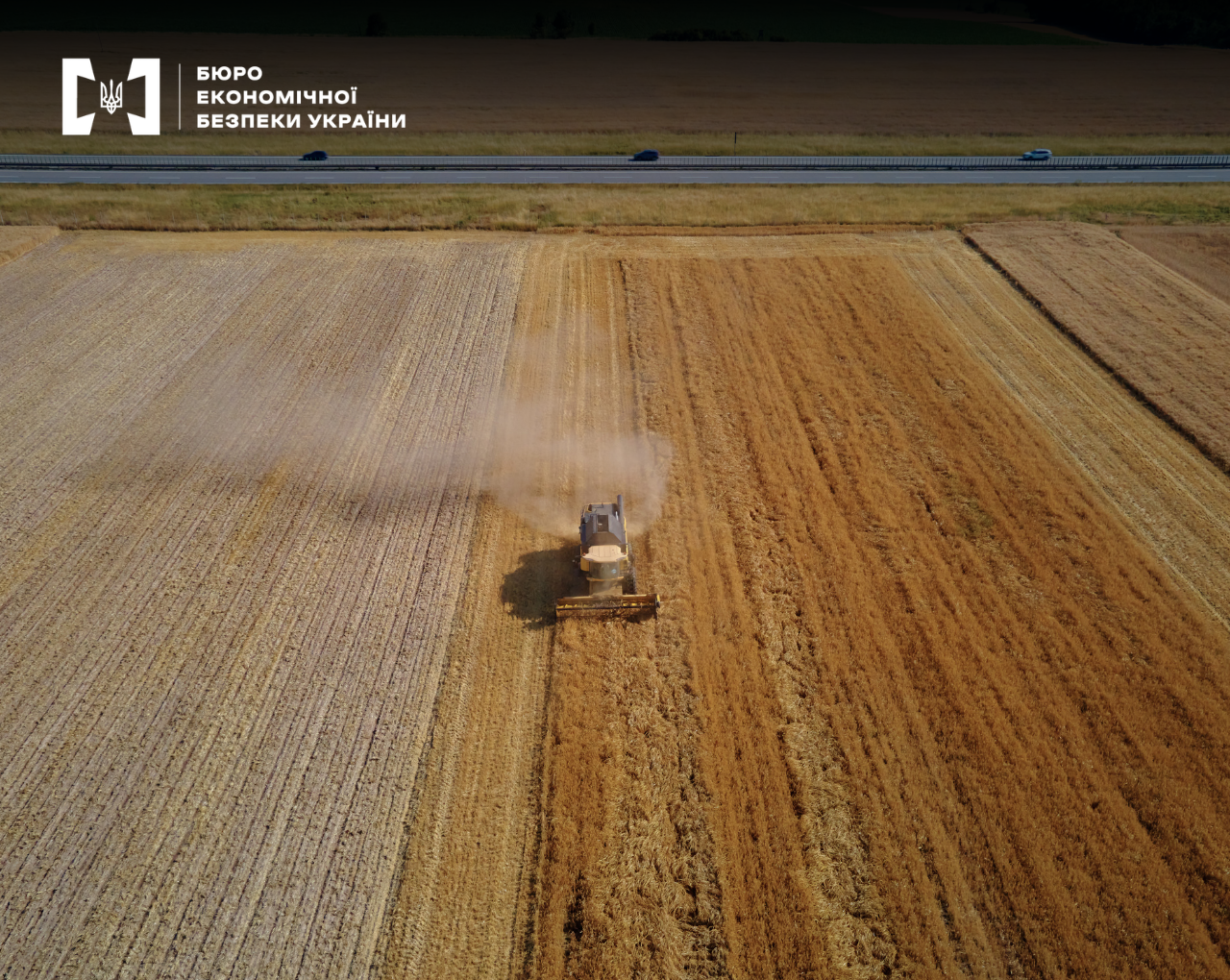 A combine harvester leaves a trail of dust in a golden field near a highway.