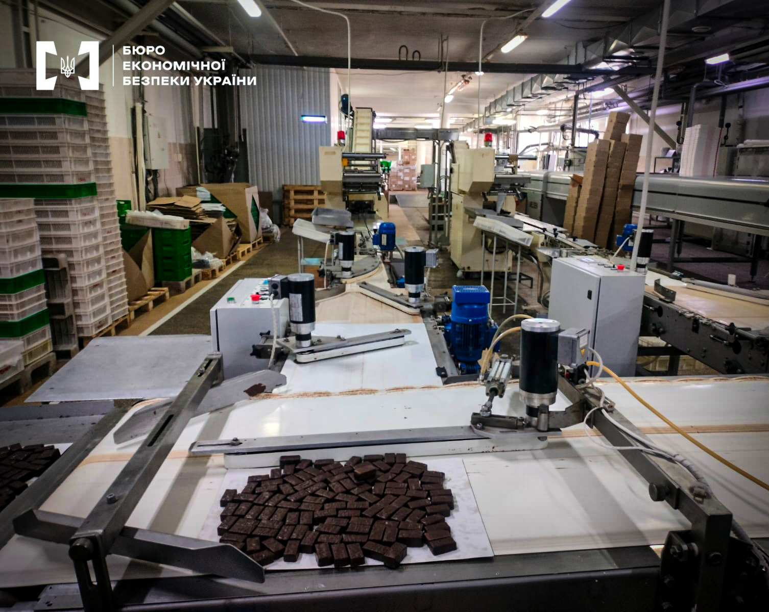 A conveyor belt at a confectionery factory, filled with chocolate candies.