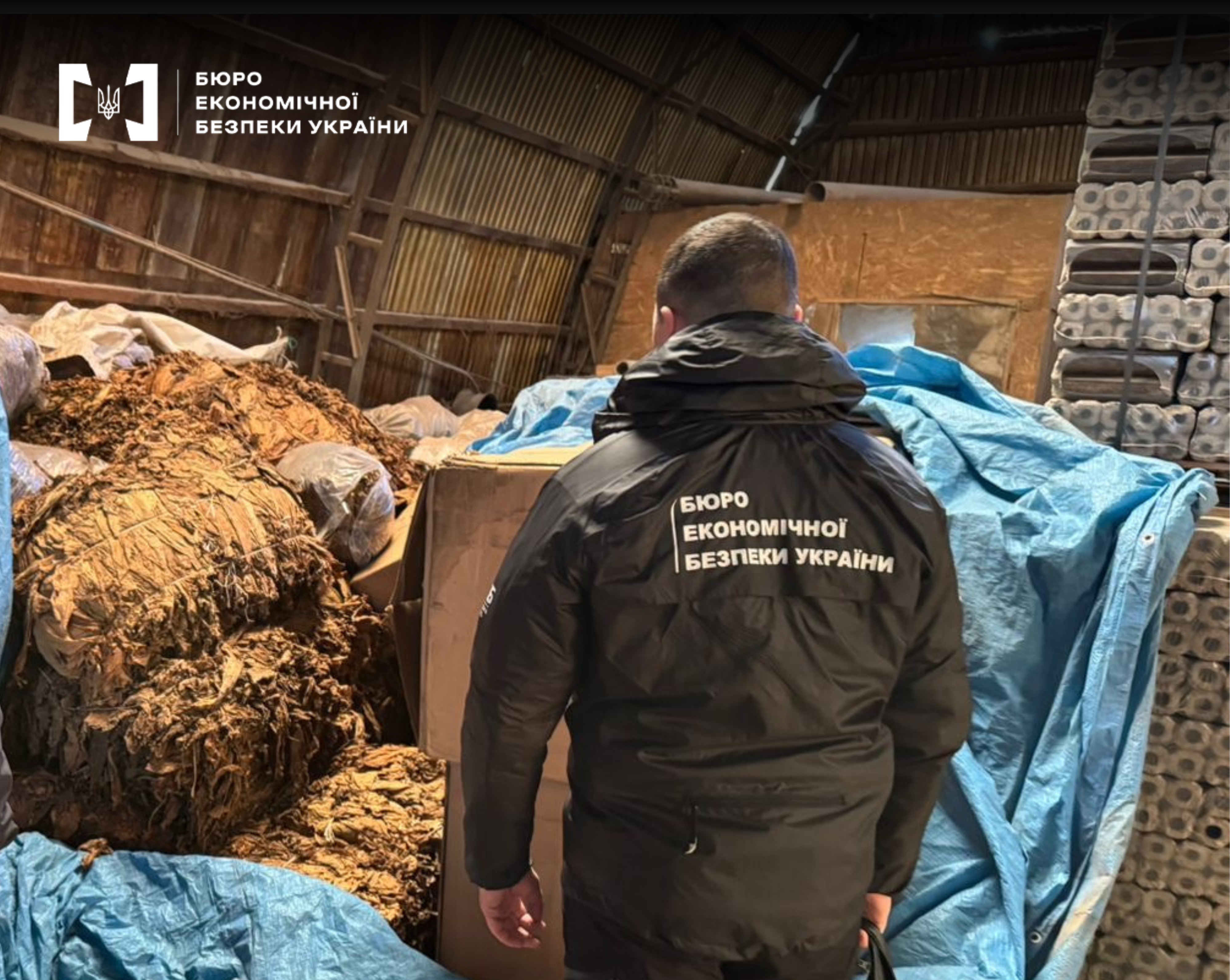 ESBU detective is standing inside a warehouse. In the foreground are visible piles of pressed fermented tobacco, partially covered with blue tarpaulins