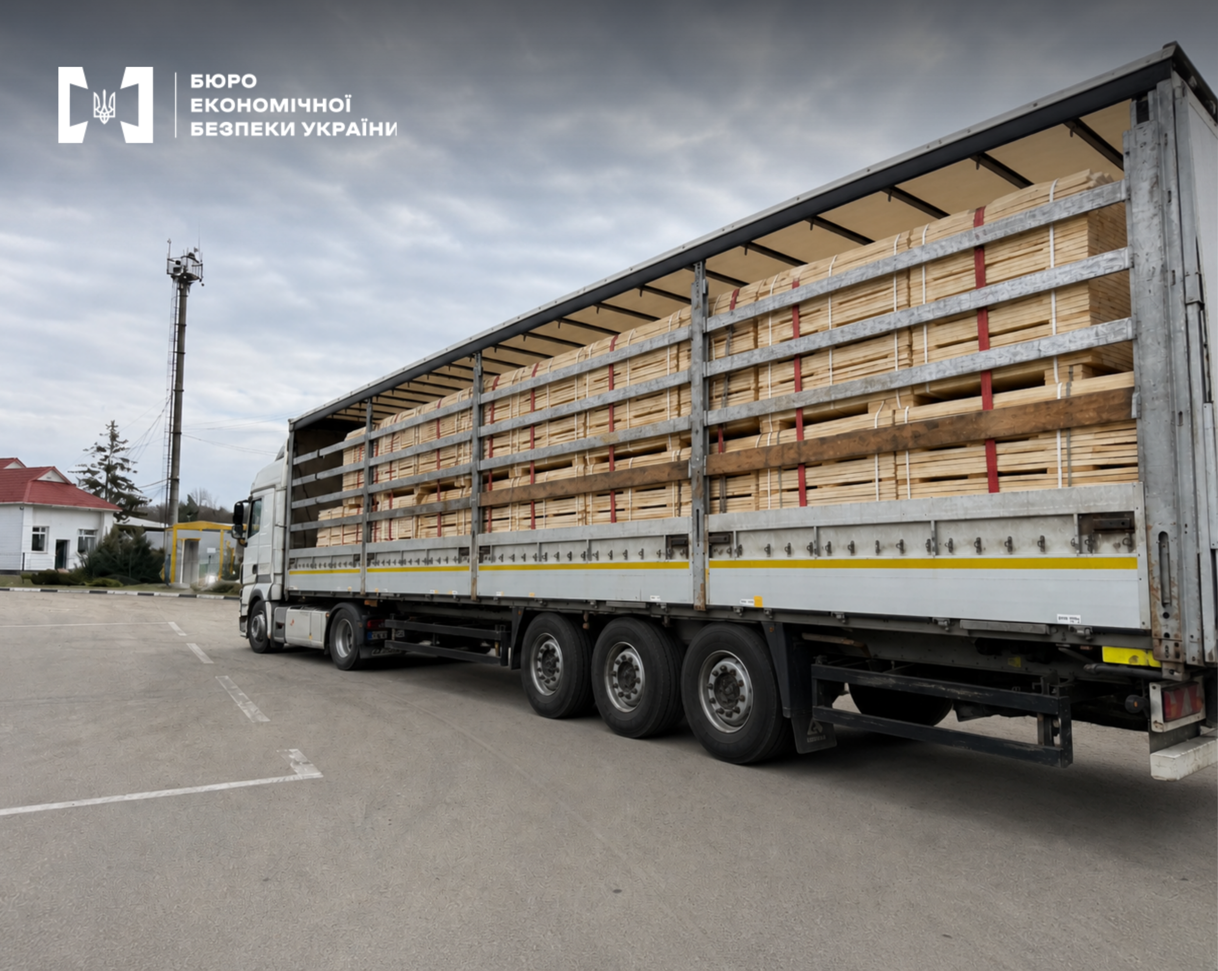 Велика вантажівка з напівпричепом щільно завантажена деревиною. Світлі дошки, акуратно складені в штабелі та закріплені червоними стрічками.