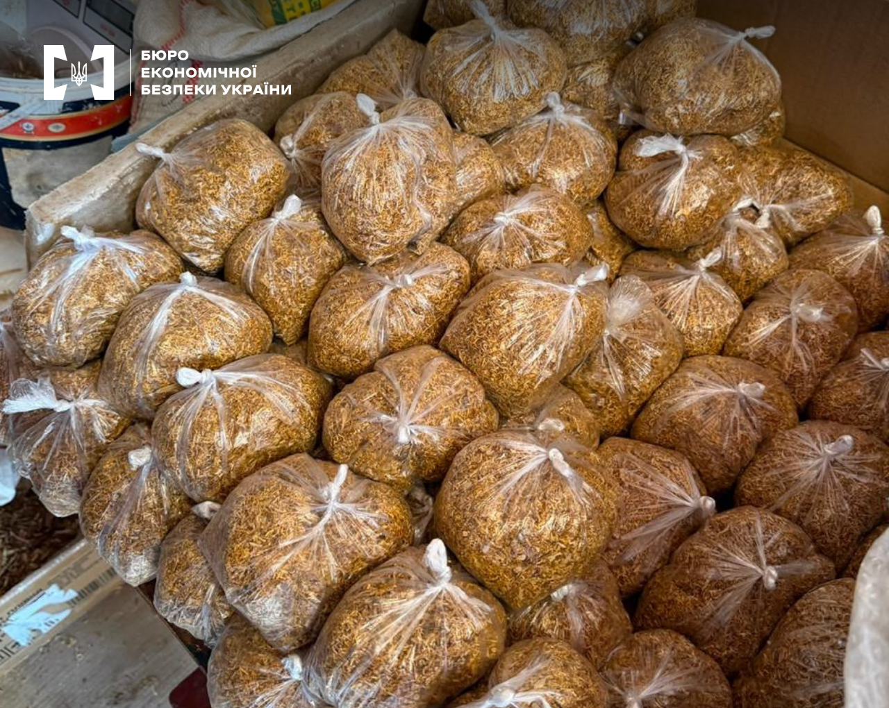 Large stacks of transparent bags filled with shredded tobacco.