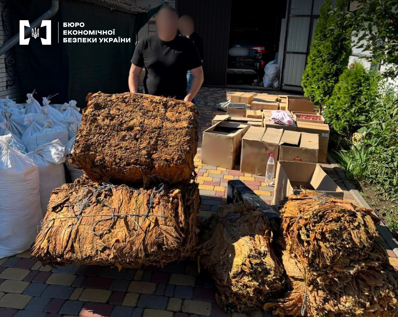 Pressed bales of tobacco leaves, white sacks, and cardboard boxes