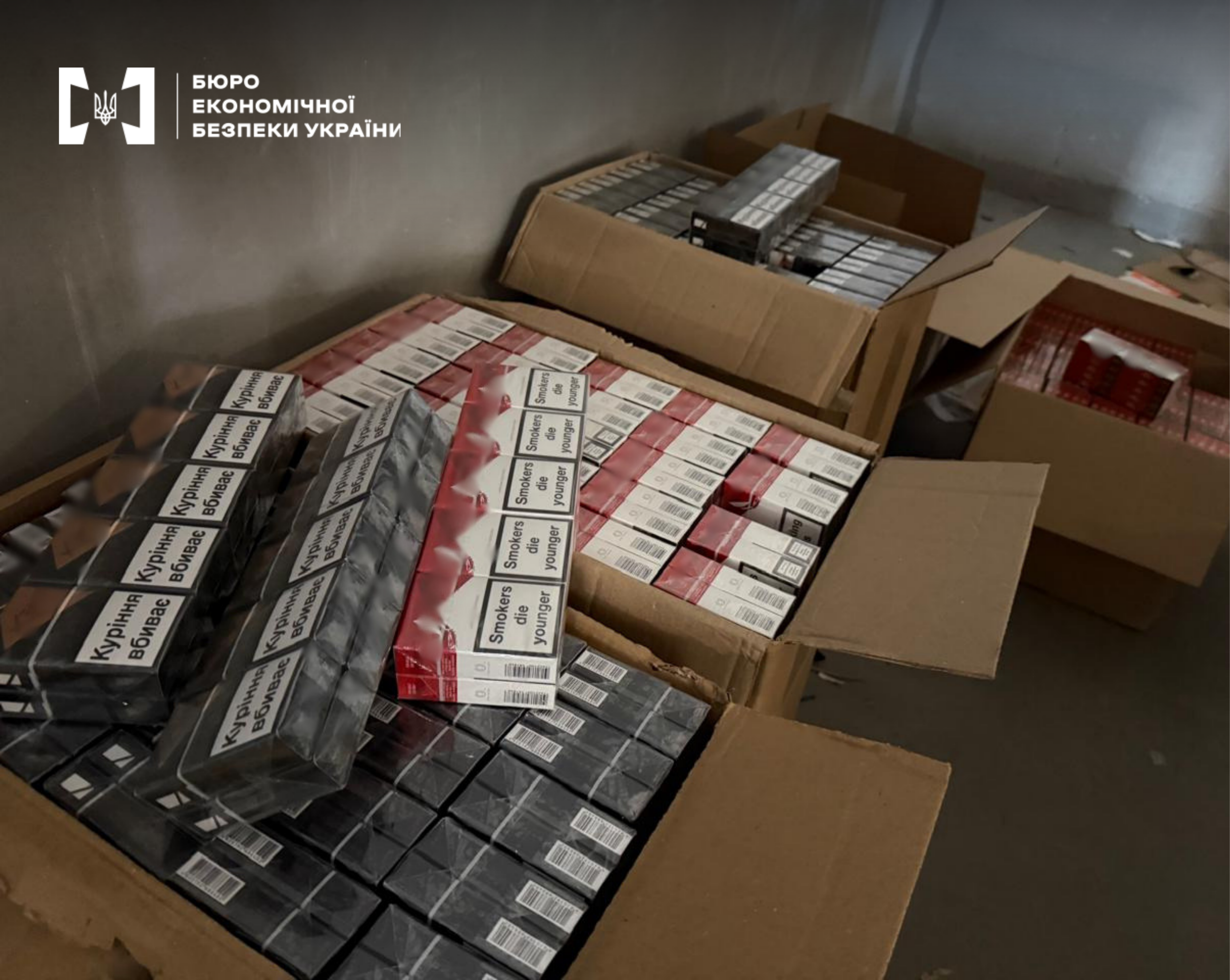 Open cardboard boxes filled with a large quantity of cigarette packs of various brands