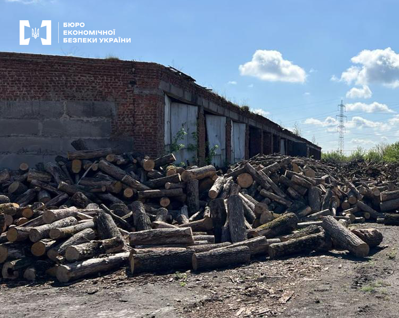 Велика купа дерев’яних колод біля занедбаного приміщення на фоні блакитного неба з білими хмарами.